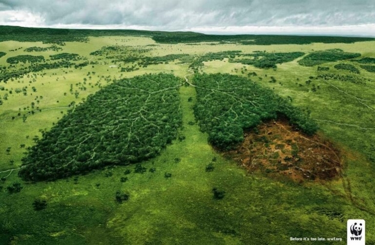 Save Trees Save Life: The Most Influential WWF Ads : Marketing Birds
