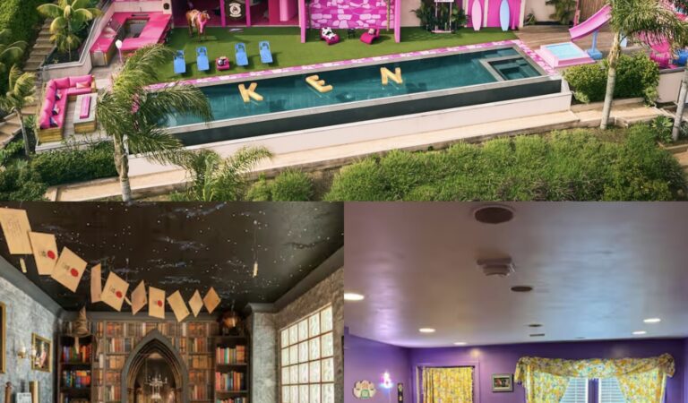 Top 3 Most Liked Themed Airbnbs